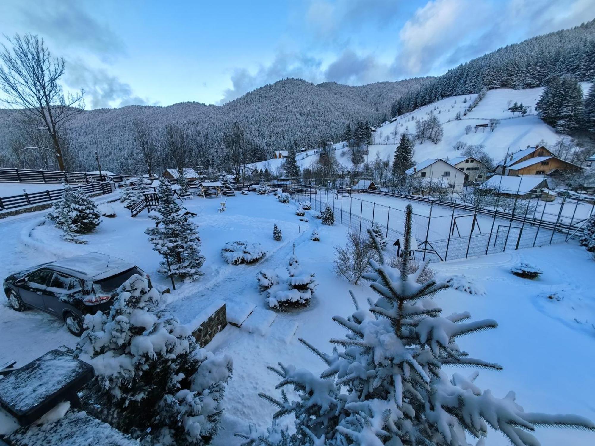 Poiana Soarelui Bed and Breakfast Moeciu De Sus Εξωτερικό φωτογραφία